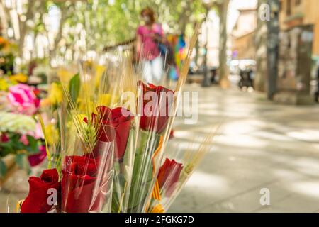 Nahaufnahme von Rosen in einem städtischen Floristen`s Shop für angezeigt Die Feier des Tages des Buches oder Sant Jordis Tag Stockfoto